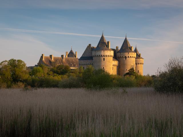 Sarzeau - Château de Suscinio