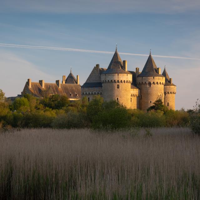 Sarzeau - Château de Suscinio