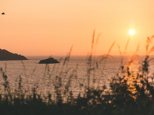 Douarnenez