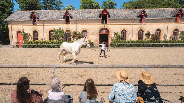 Hennebont - haras