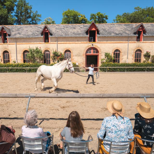Hennebont - haras