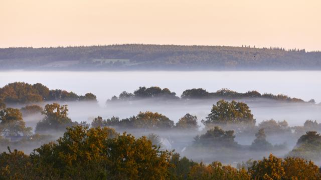 les-landes-de-lanvaux-a-lamoureux-galerie1.jpg