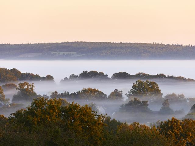 les-landes-de-lanvaux-a-lamoureux-galerie1.jpg