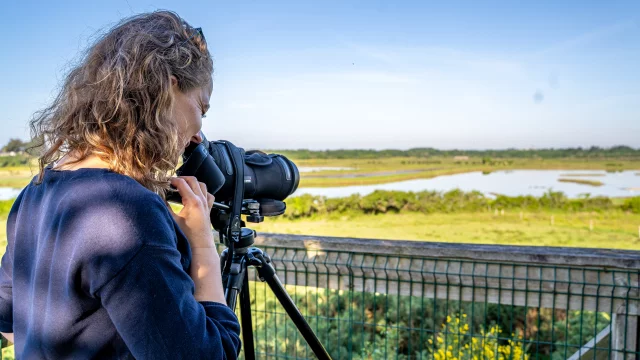 Marais-de-Sene-Thehike.nl_.jpg