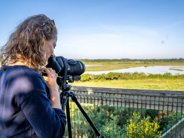 Marais-de-Sene-Thehike.nl_.jpg