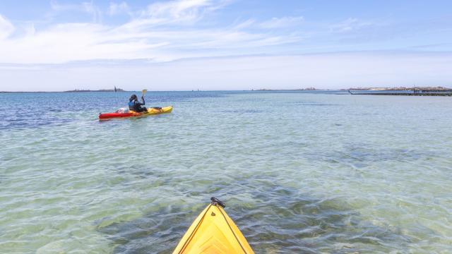 Paddle_CloClem.jpg