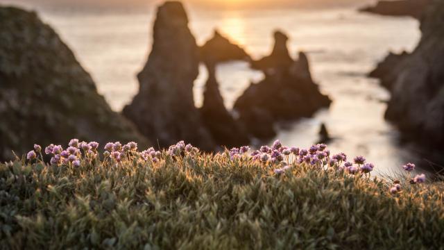 Aiguilles de Port-Coton à Belle-Ile-en-Mer