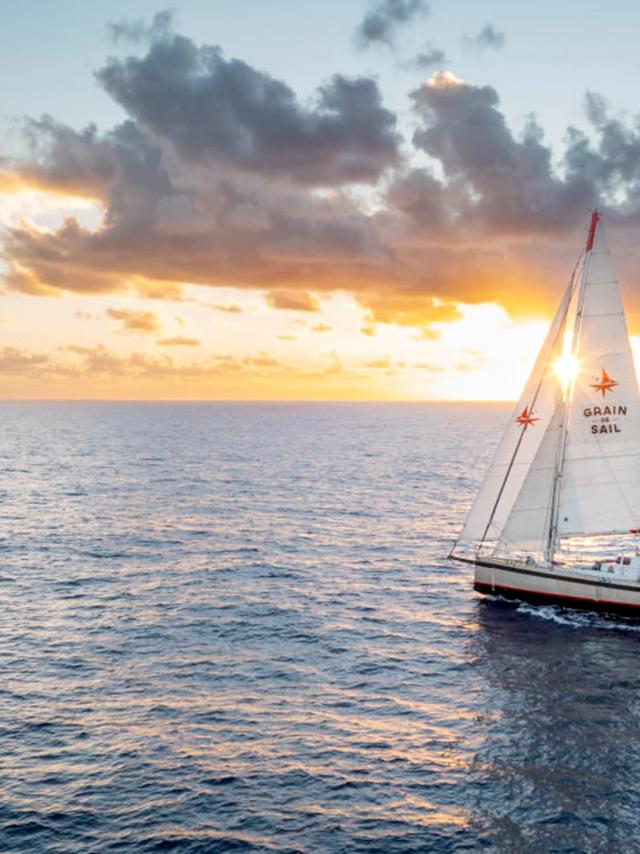 Direction-Boca-Chica_Voilier-Cargo_Grain-de-Sail.jpg