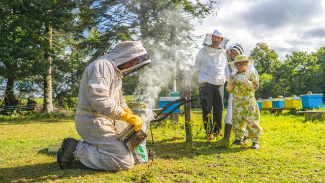 Expérience Bretonne - Apiculture