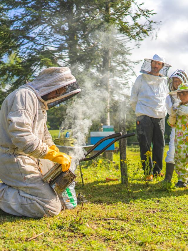 Expérience Bretonne - Apiculture