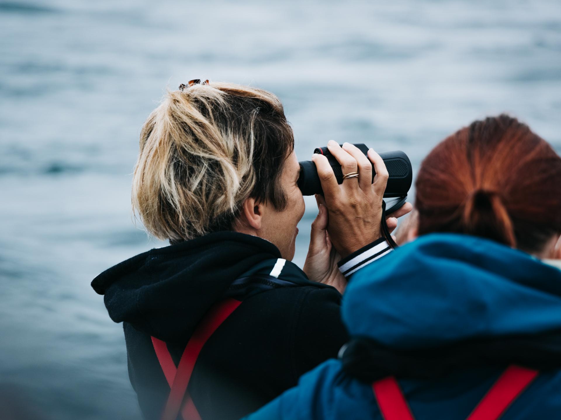 À la découverte du patrimoine Quintin (Quintin) Tourisme Bretagne