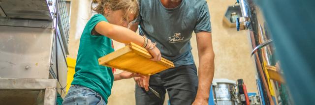 Expérience Bretonne - Apiculture