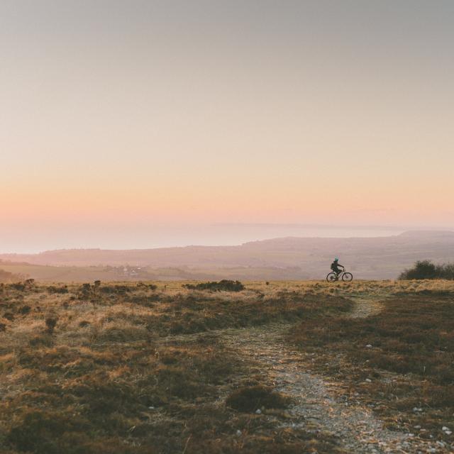 Menez-Hom-VTT.jpg
