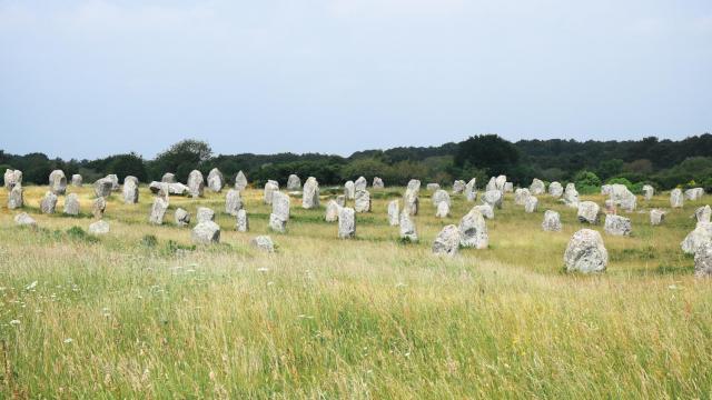 Hinkelsteine in Carnac