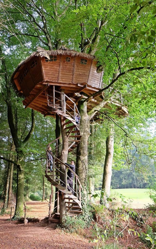 Domaine des Ormes