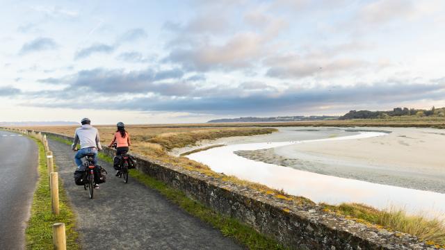 Langueux_Reserve-baie_Saint-Brieuc_E.Berthier.jpg