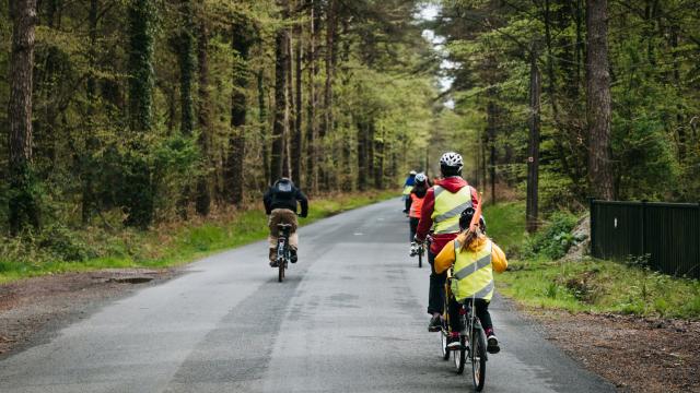 Expérience Bretonne - Brocéliande Bike Tour
