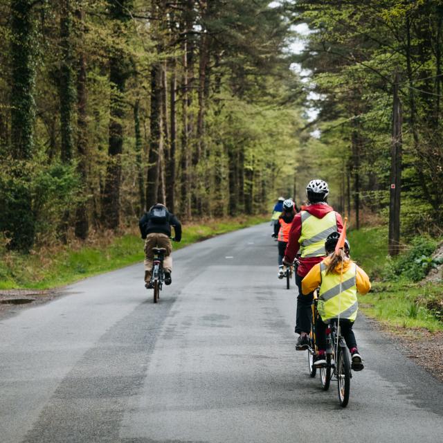 Expérience Bretonne - Brocéliande Bike Tour