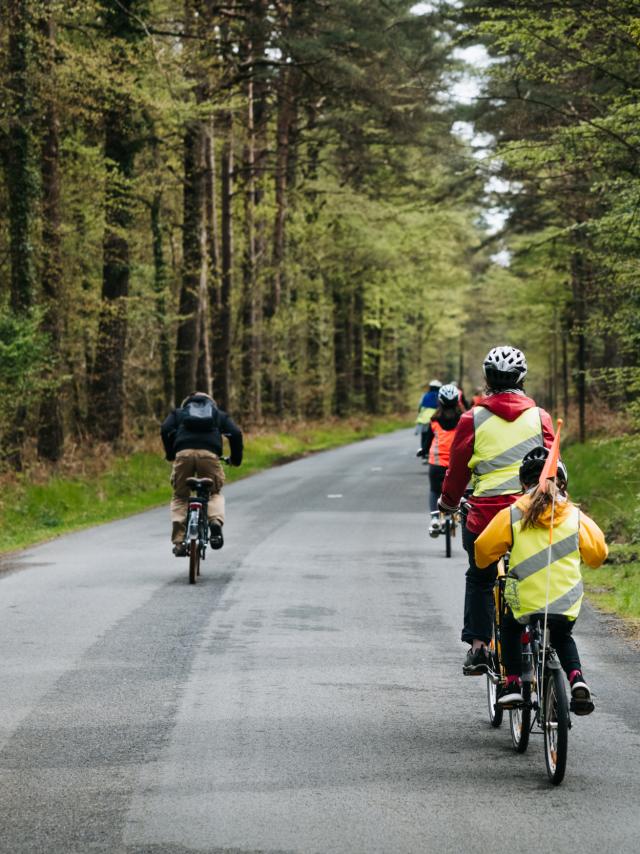 Expérience Bretonne - Brocéliande Bike Tour