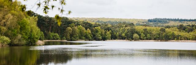 Forêt de Brocéliande - Etang de Paimpont