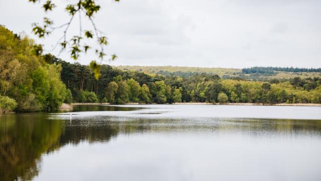 Experience-Bretonne-Broceliande-Bike-Tour-5.jpg