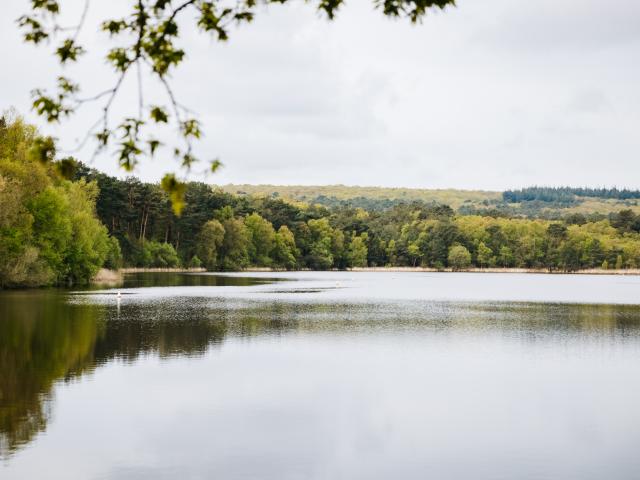 Experience-Bretonne-Broceliande-Bike-Tour-5.jpg