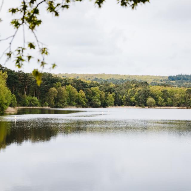 Experience-Bretonne-Broceliande-Bike-Tour-5.jpg