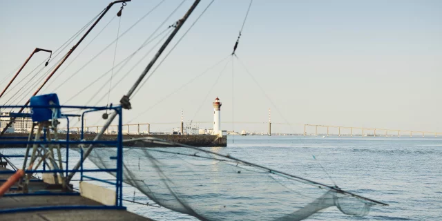 alamoureux_MG_8355.jpg