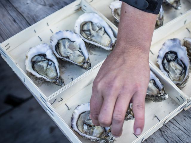 Huîtres de Cancale