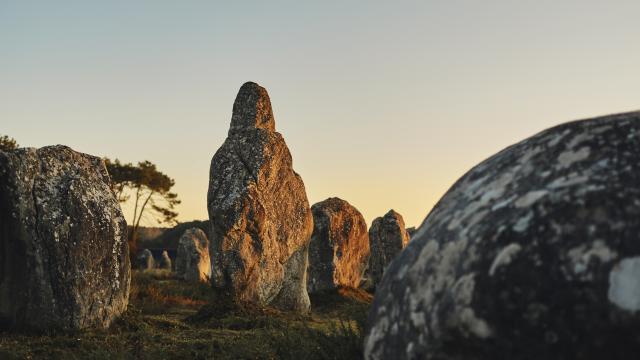 Coucher de soleil sur les menhirs - Carnac