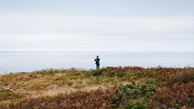 Randonnée au Cap Fréhel