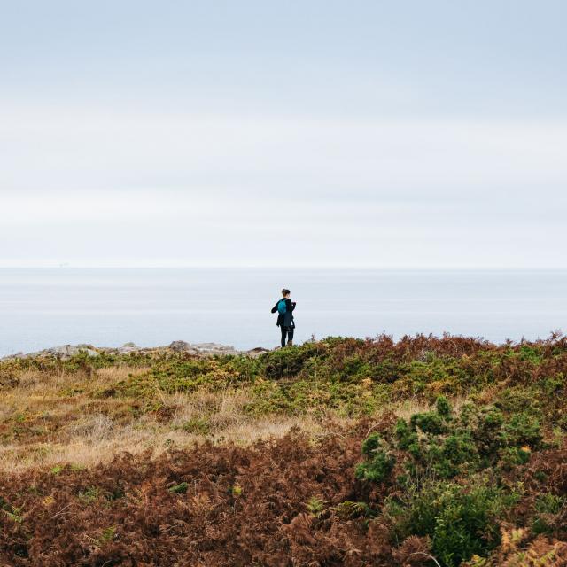 Cap Fréhel
