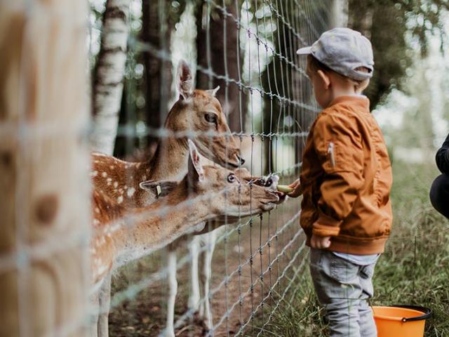Les Jardins de l'Eveil - la ménagerie - Saint-Thonan