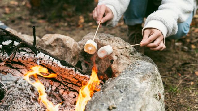 Young Woman Burning Marshmallows Camp Fire Winter