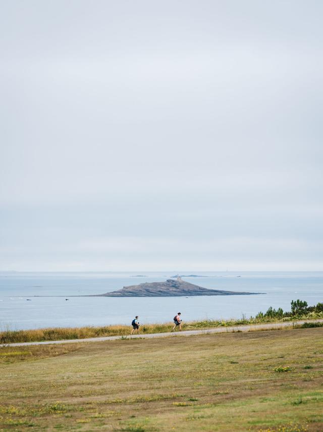 Cap Fréhel