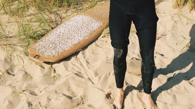 Surf - Sur la plage en Bretagne