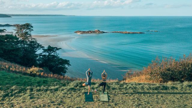 Les Droners