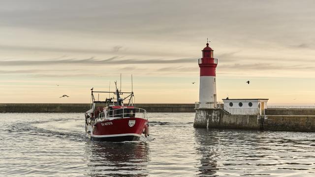 Port du Guilvinec