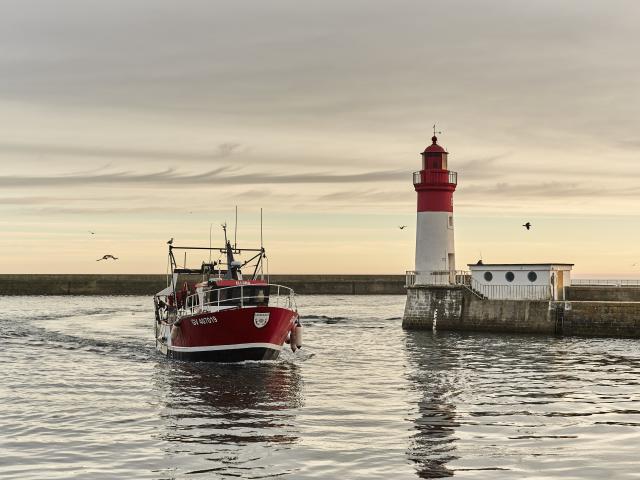 Port du Guilvinec