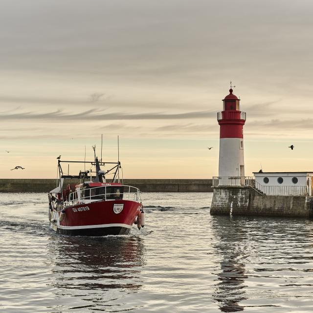 Port du Guilvinec