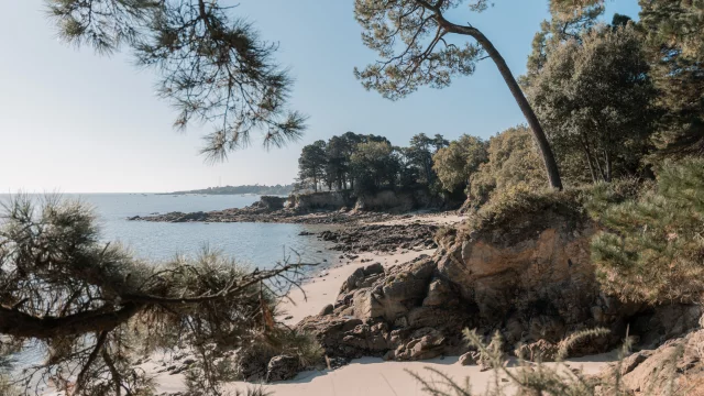 MP_bretagne_2024-107.jpg