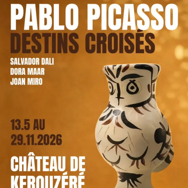 Affiche Picasso